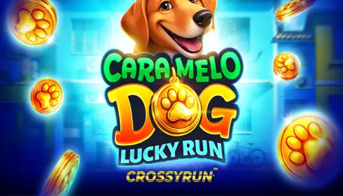 Caramelo Dog: Lucky Run